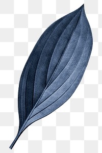 PNG vintage blue leaf, transparent background