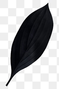 Black leaf png, transparent background