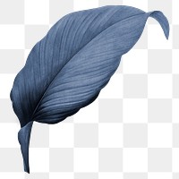 PNG vintage blue leaf, transparent background