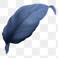 Blue leaf png vintage, transparent background