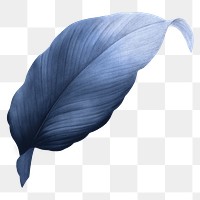 PNG vintage blue leaf, transparent background