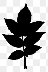 Leaf silhouette png black, transparent background