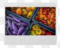 PNG Farmers market instant film frame, transparent background