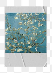 PNG Van Gogh's Almond blossom instant film frame, transparent background.  Remixed by rawpixel.