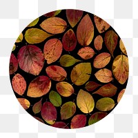 Autumn leaf png round shape, transparent background