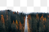 PNG Road through pine forest  border, transparent background