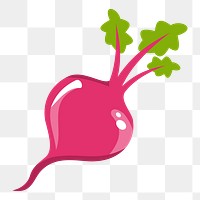 Beetroot png sticker, transparent background. Free public domain CC0 image.