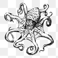 PNG Octopus clipart, transparent background. Free public domain CC0 image.