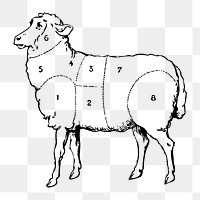 Lamb cuts chart png illustration, transparent background. Free public domain CC0 image.