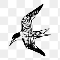 Seagull png illustration, transparent background. Free public domain CC0 image.