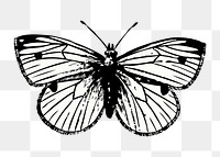 Moth png illustration, transparent background. Free public domain CC0 image.