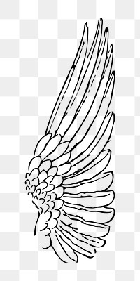 Bird wing png illustration, transparent background. Free public domain CC0 image.