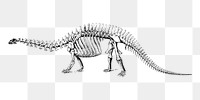 Dinosaur fossil png illustration, transparent background. Free public domain CC0 image.