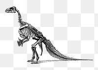 Dinosaur fossil png illustration, transparent background. Free public domain CC0 image.