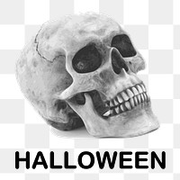 Human skull Halloween png illustration, transparent background. Free public domain CC0 image.