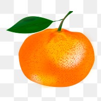 Orange png illustration, transparent background. Free public domain CC0 image.