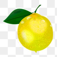 Fresh lemon png illustration, transparent background. Free public domain CC0 image.