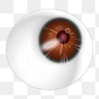 Eyeball png illustration, transparent background. Free public domain CC0 image.