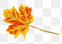 Maple leaf png illustration, transparent background. Free public domain CC0 image.