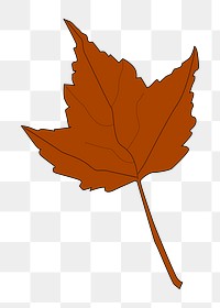 Autumn maple leaf png illustration, transparent background. Free public domain CC0 image.