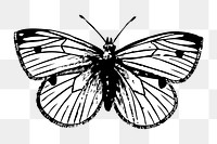 Moth png illustration, transparent background. Free public domain CC0 image.