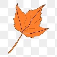 Autumn maple leaf png illustration, transparent background. Free public domain CC0 image.