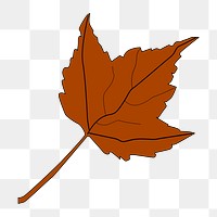 Autumn maple leaf png illustration, transparent background. Free public domain CC0 image.