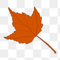 Autumn maple leaf png illustration, transparent background. Free public domain CC0 image.