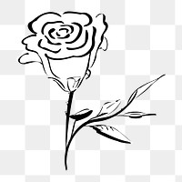 Rose png illustration, transparent background. Free public domain CC0 image.