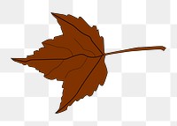 Autumn maple leaf png illustration, transparent background. Free public domain CC0 image.