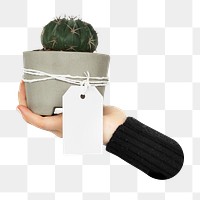 Hand holding cactus png, transparent background