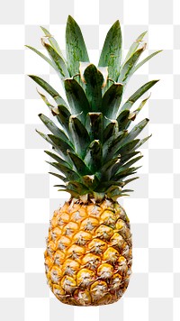 Png pineapple, transparent background