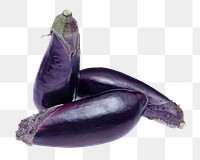 Eggplant aubergine png, healthy food, transparent background