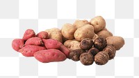 Sweet potatoes png collage element on transparent background