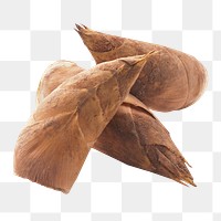 Bamboo shoot png collage element on transparent background