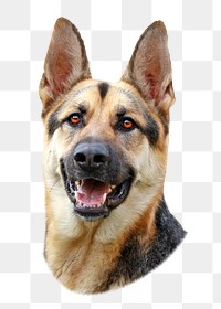 German shepherd png, cute dog, design element, transparent background
