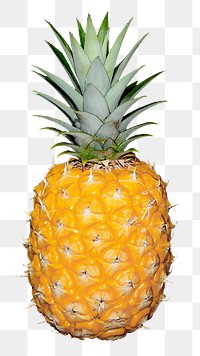 Pineapple fruits png tropical sweet, transparent background