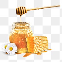 PNG honey in a jar, collage element, transparent background