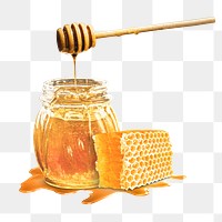 PNG honey in a jar, collage element, transparent background
