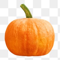 Farm orange pumpkin png, transparent background