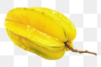 Star fruit png tropical sweetness, transparent background