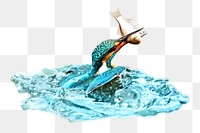Fishing kingfisher png, transparent background