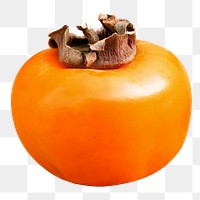 Png persimmon, kaki fruit, transparent background