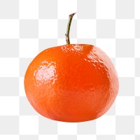 Png orange, transparent background