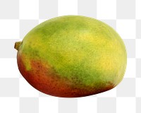 Png mango, transparent background