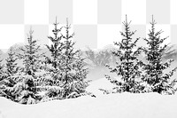 PNG Winter snowy forest  border, transparent background