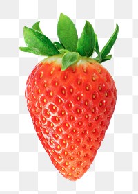 Strawberry fruit png, transparent background