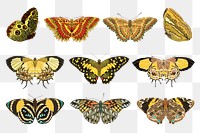 Yellow butterfly png sticker, vintage insect illustration set, transparent background. Remixed from the artwork of E.A. Séguy.