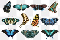 E.A. Séguy's butterfly png sticker, vintage insect illustration set, transparent background. Remixed by rawpixel.