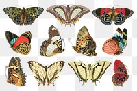 E.A. Séguy's butterfly png sticker, vintage insect illustration set, transparent background. Remixed by rawpixel.